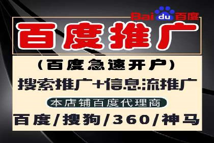 搜索引擎营销（SEM）优化全攻略：成功案例解析